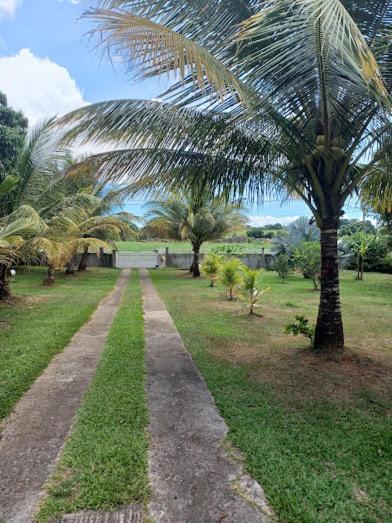 Villa Ti Bijou Baie-Mahault Esterno foto