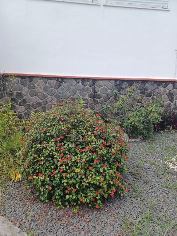 Villa Ti Bijou Baie-Mahault Esterno foto